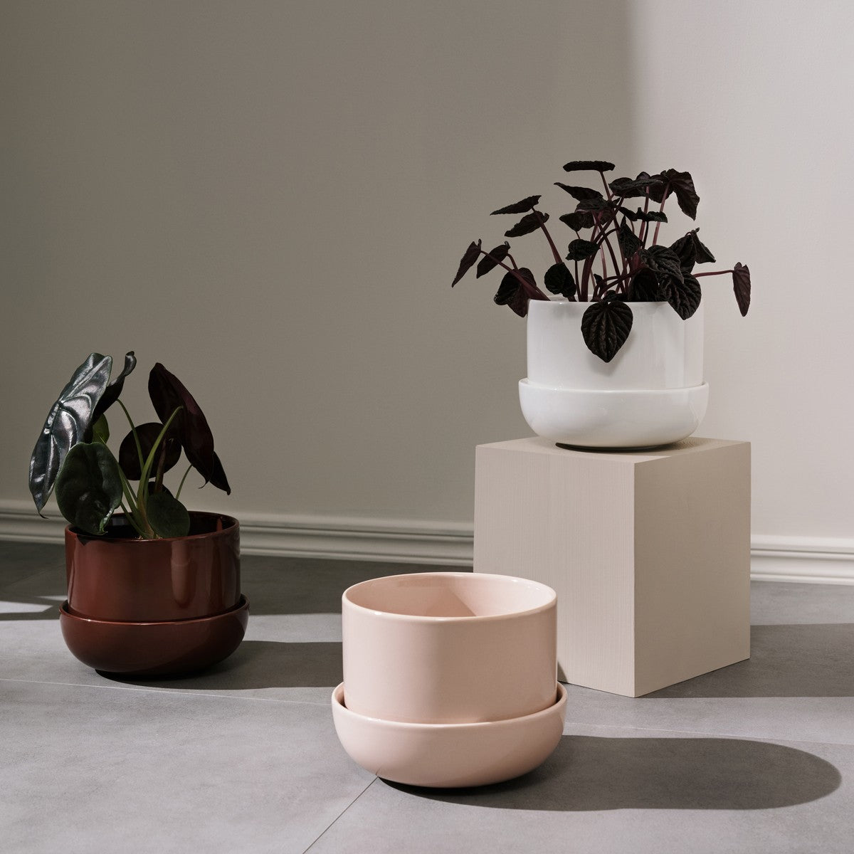 iittala Nappula Beige Plant Pot w/ Saucer