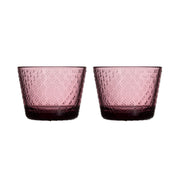 iittala Tundra Calluna 2pc Glass Tumbler - 5-1/2 oz
