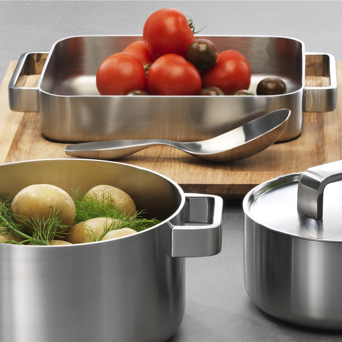 iittala Dahlström Tools Oven Pan - Large