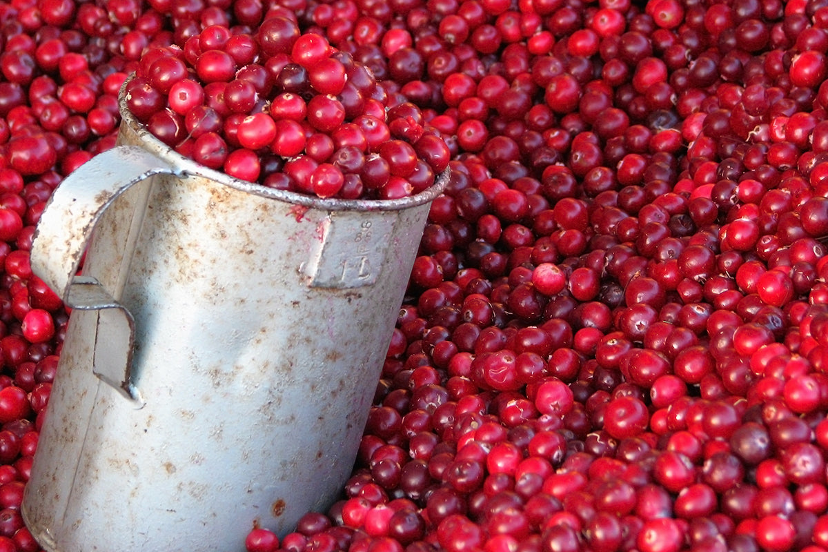Overnight Whipped Lingonberry Porridge Recipe