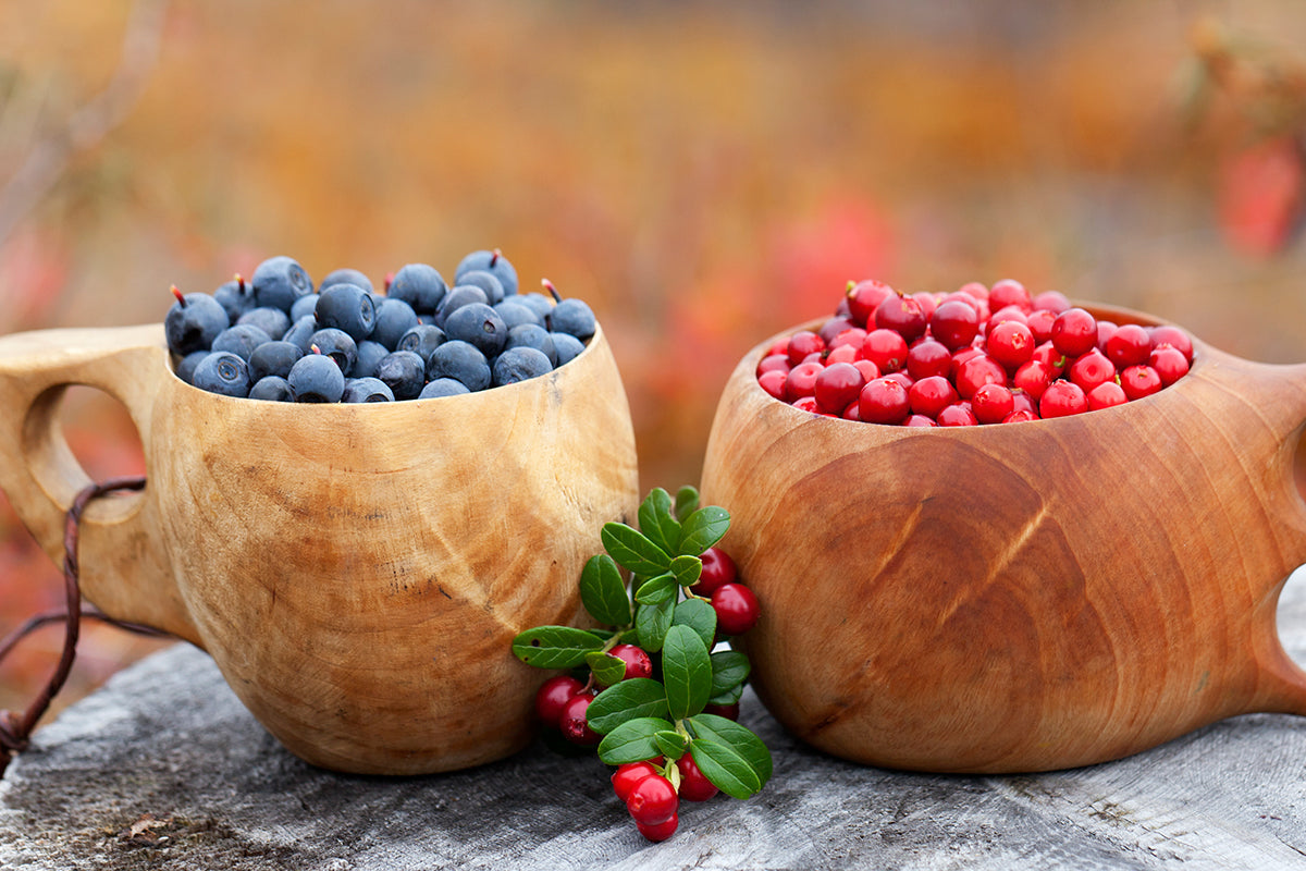 Nordic Smoothie Bowl Recipe
