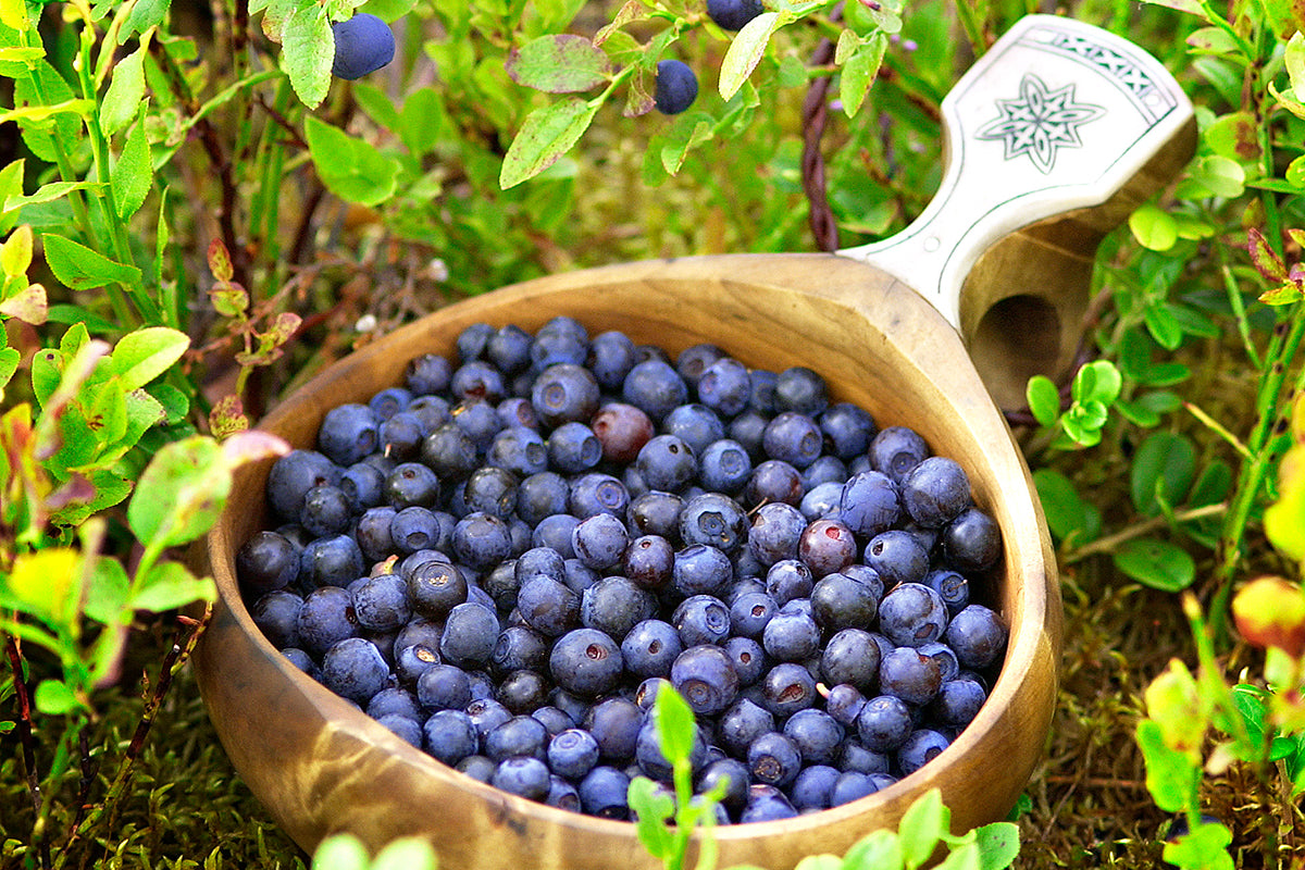 Bilberry Brain Gym Smoothie Recipe