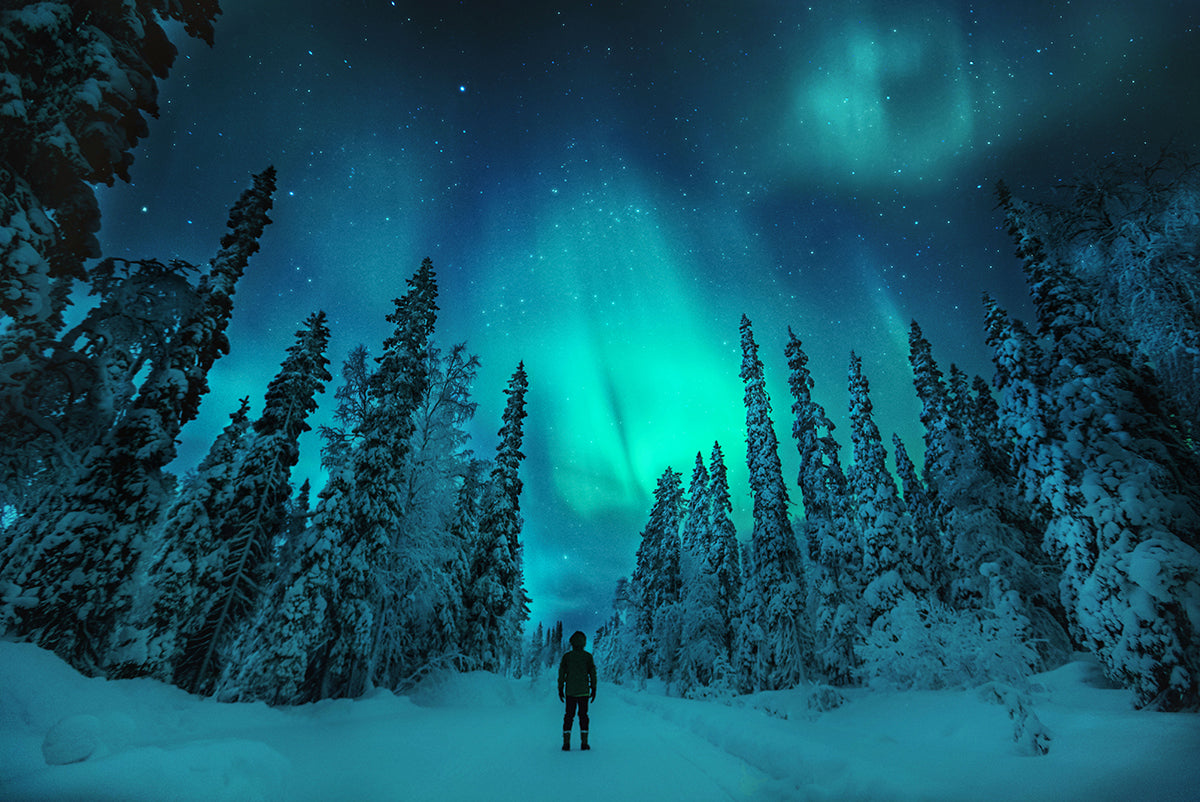 Finland Has The Best View of the Northern Lights