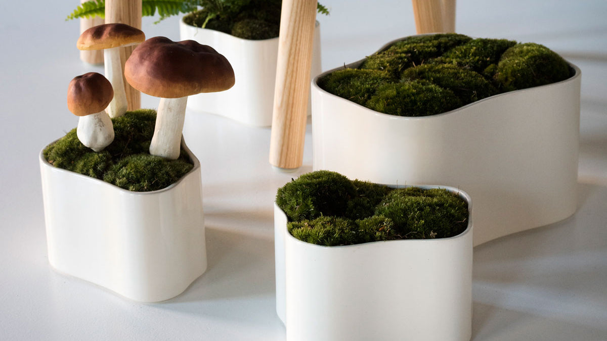 Artek Riihitie Plant Pots