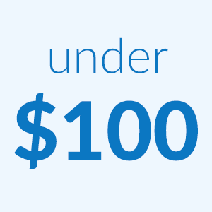 Great Gifts under $100