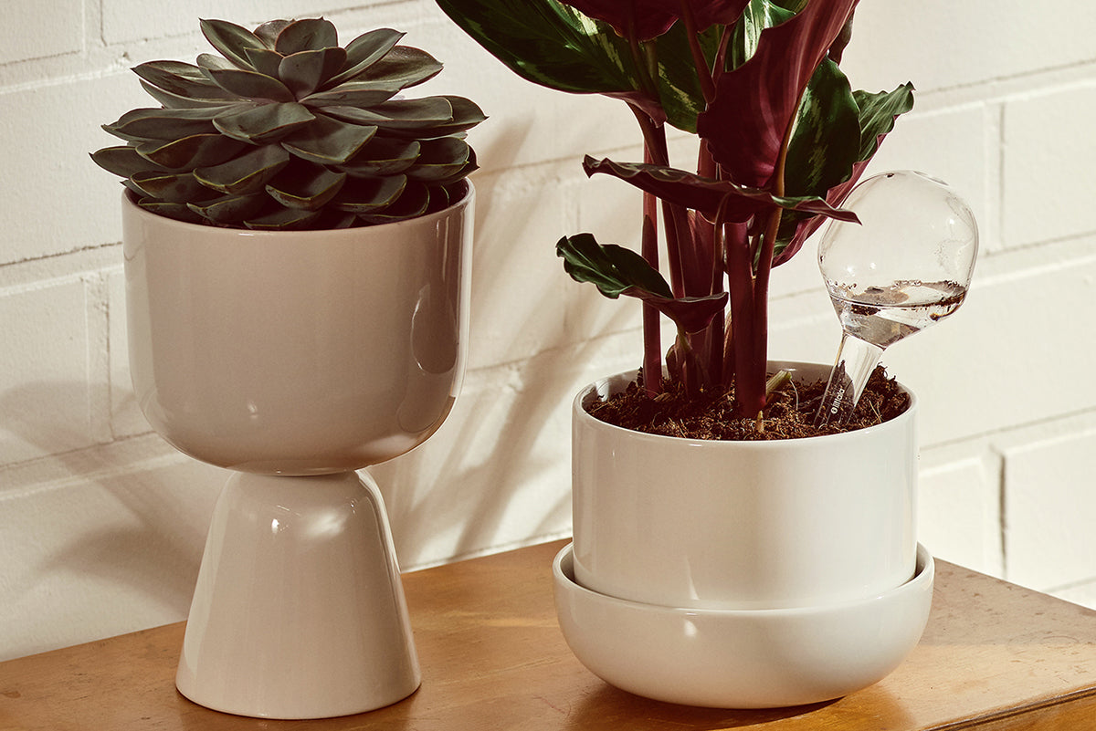 beige plant pots iittala Nappula Beige Plant Pot w/ Saucer