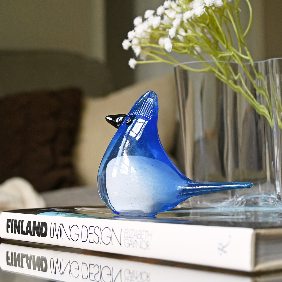 Bianco Blu Blue Jay