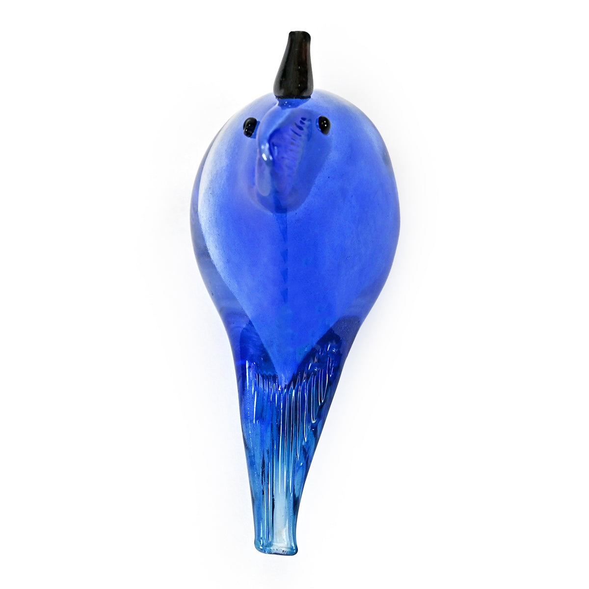 Bianco Blu Blue Jay