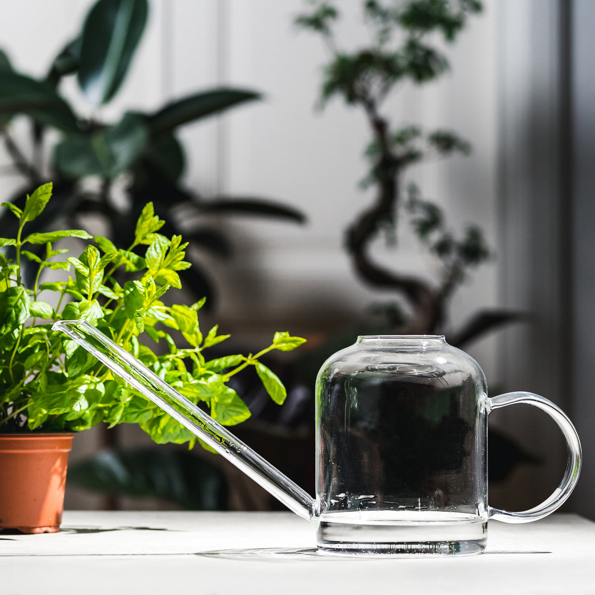 Muurla Clear Glass Watering Can