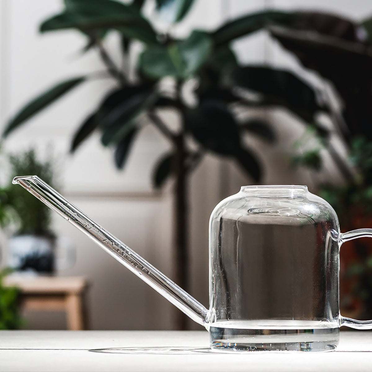 Muurla Clear Glass Watering Can