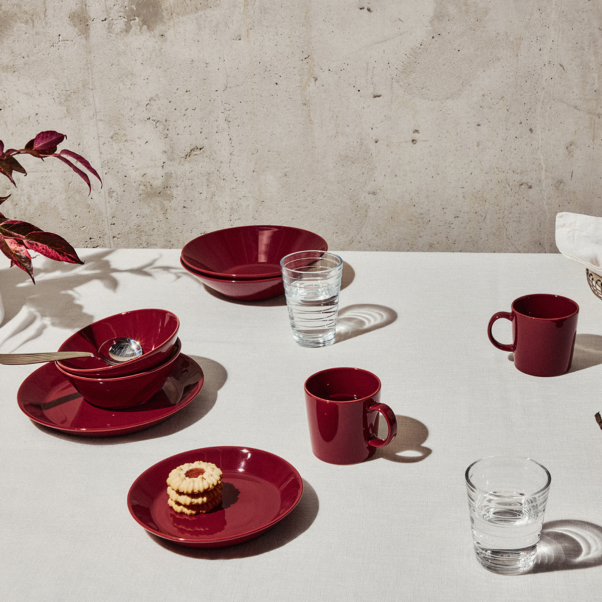 iittala Teema Cherry Pasta Bowl