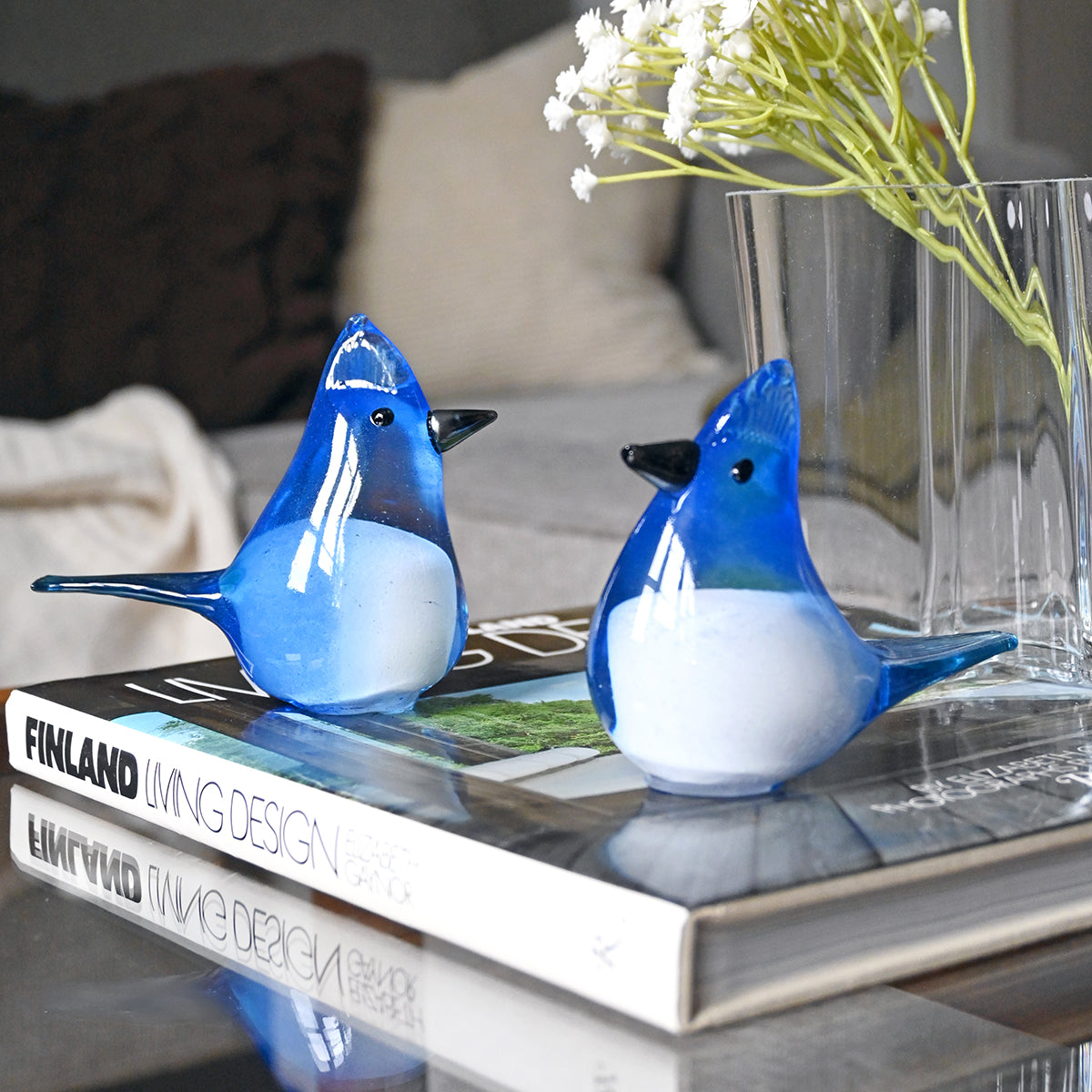Bianco Blu Blue Jay