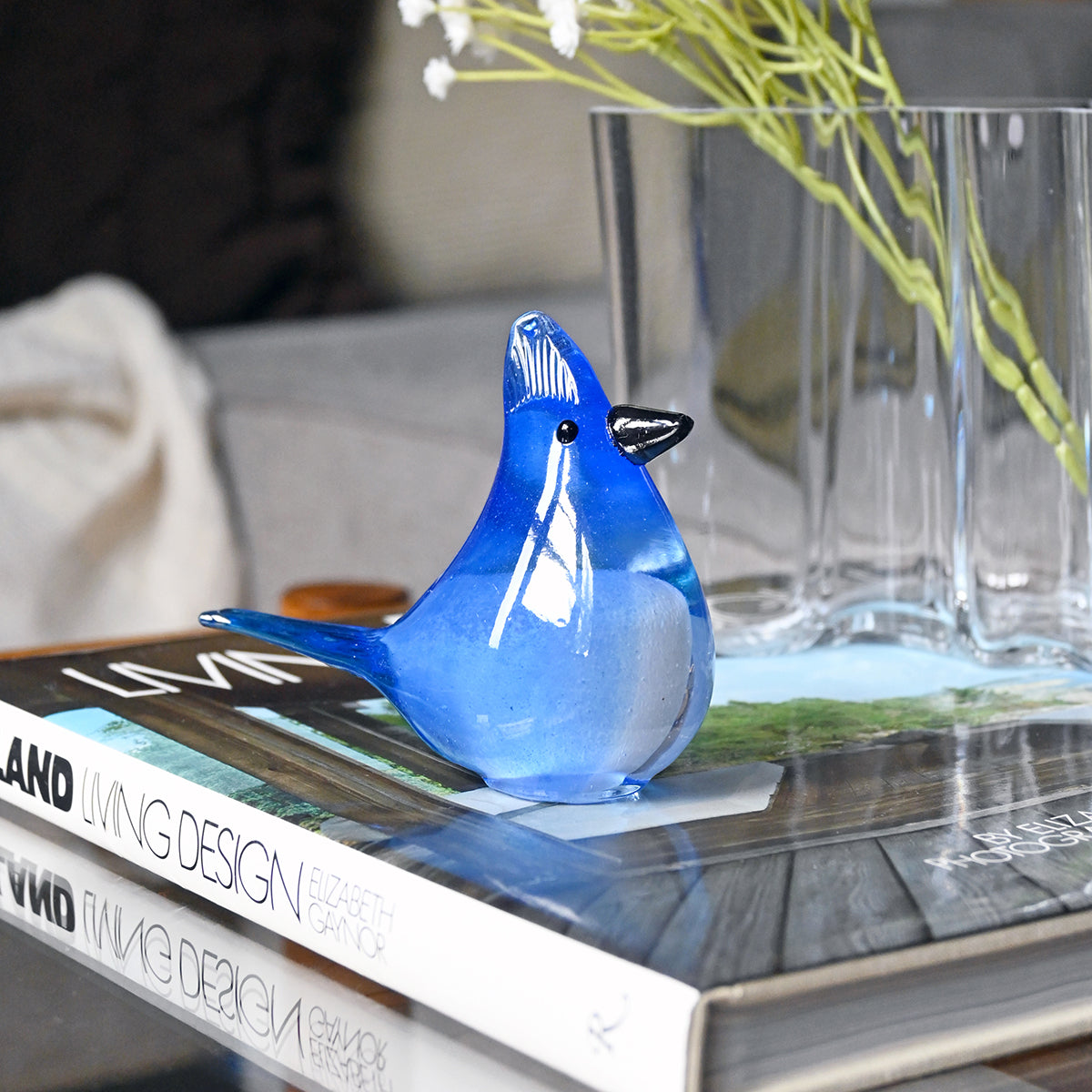 Bianco Blu Blue Jay