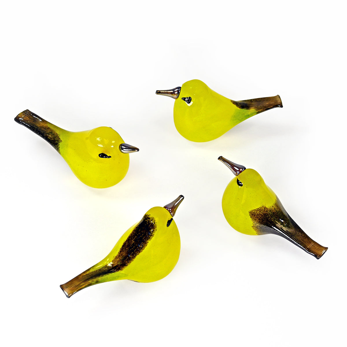Bianco Blu Oriole
