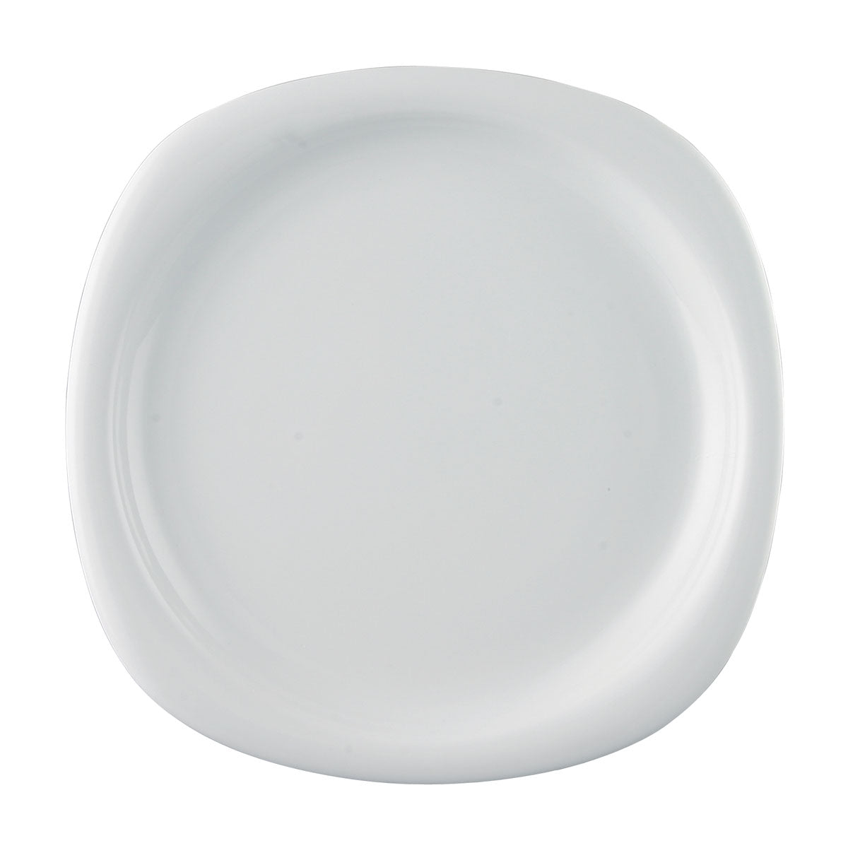 Rosenthal Suomi Dinner Plate