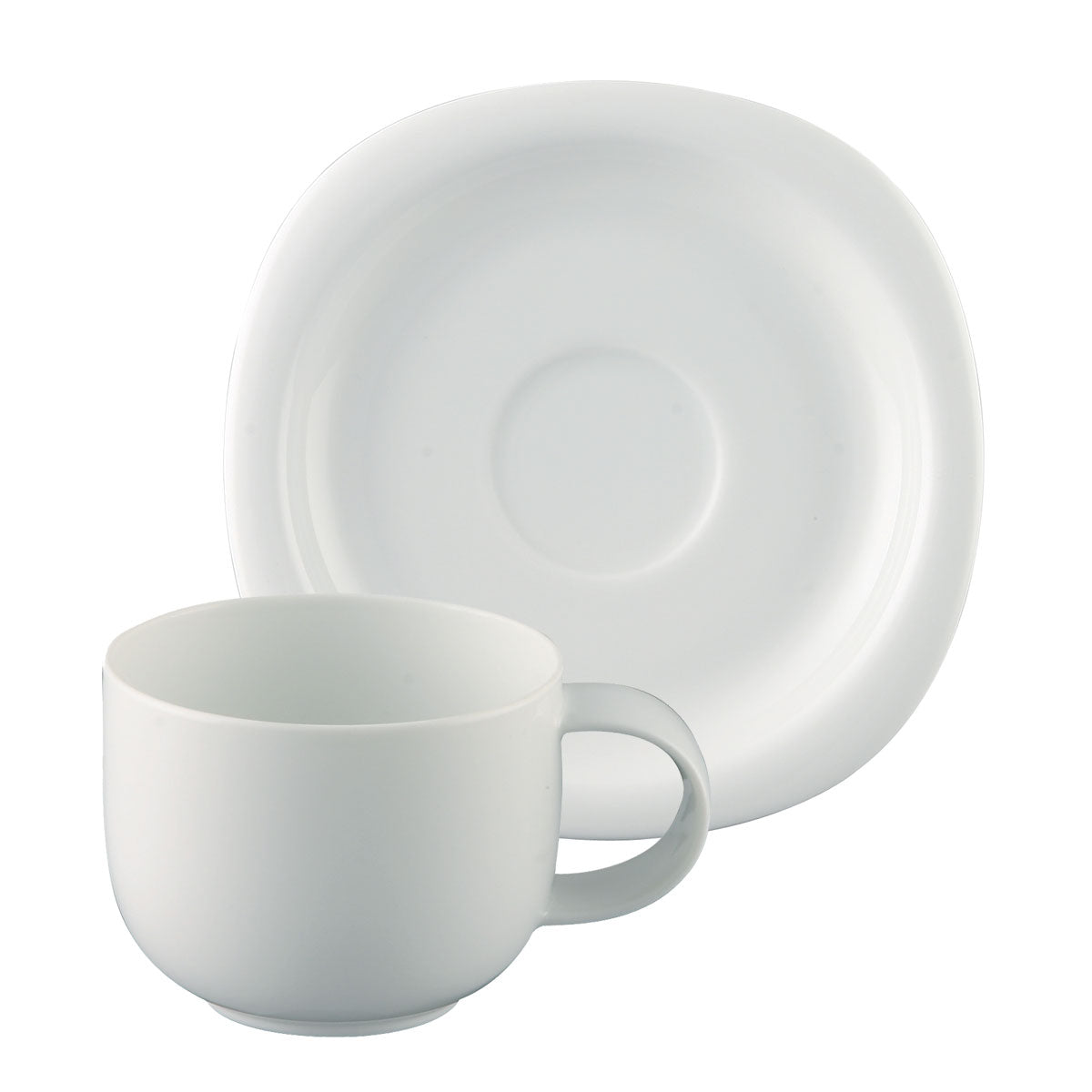 Rosenthal Suomi High Cup and Saucer