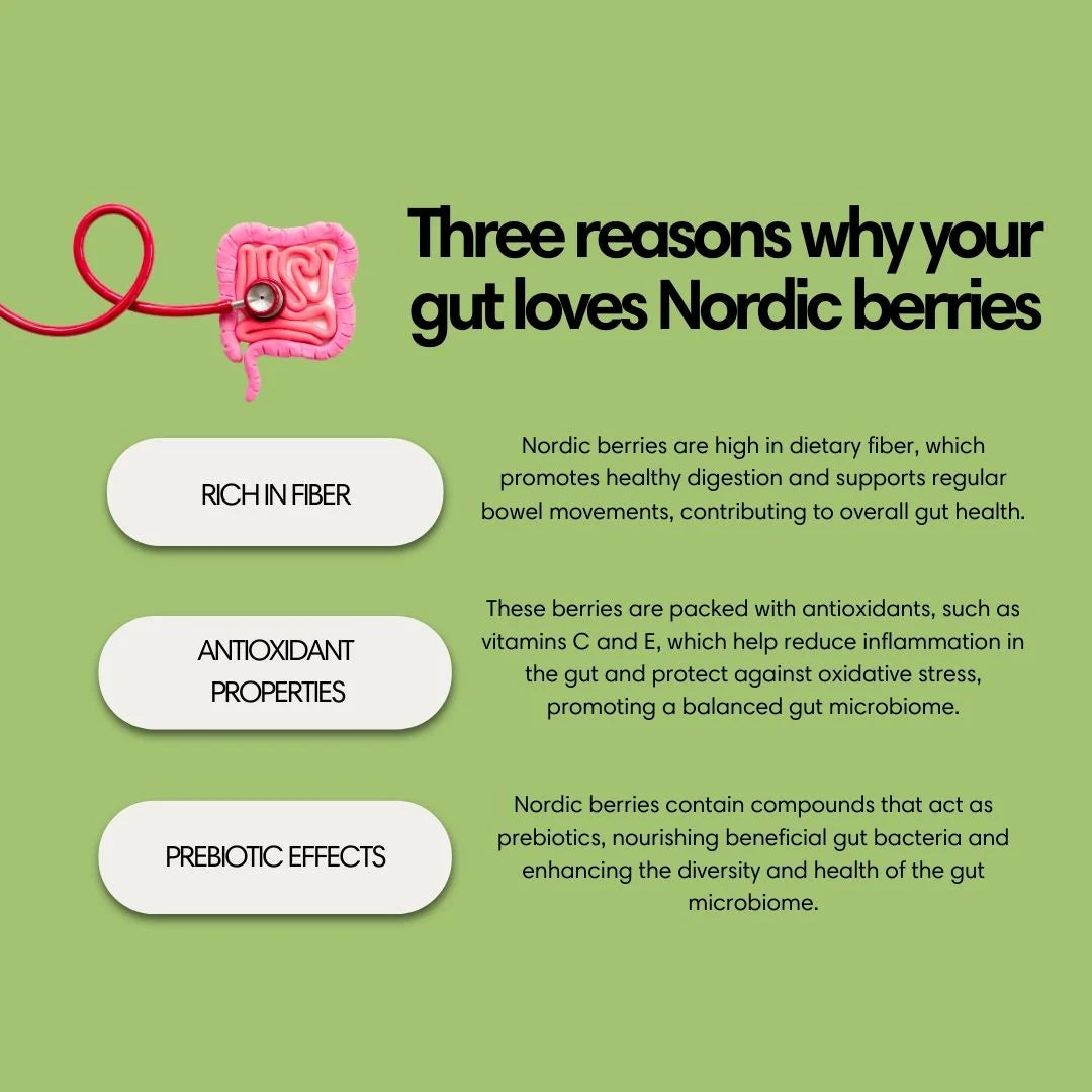 NordicNordic Polar Night Powder