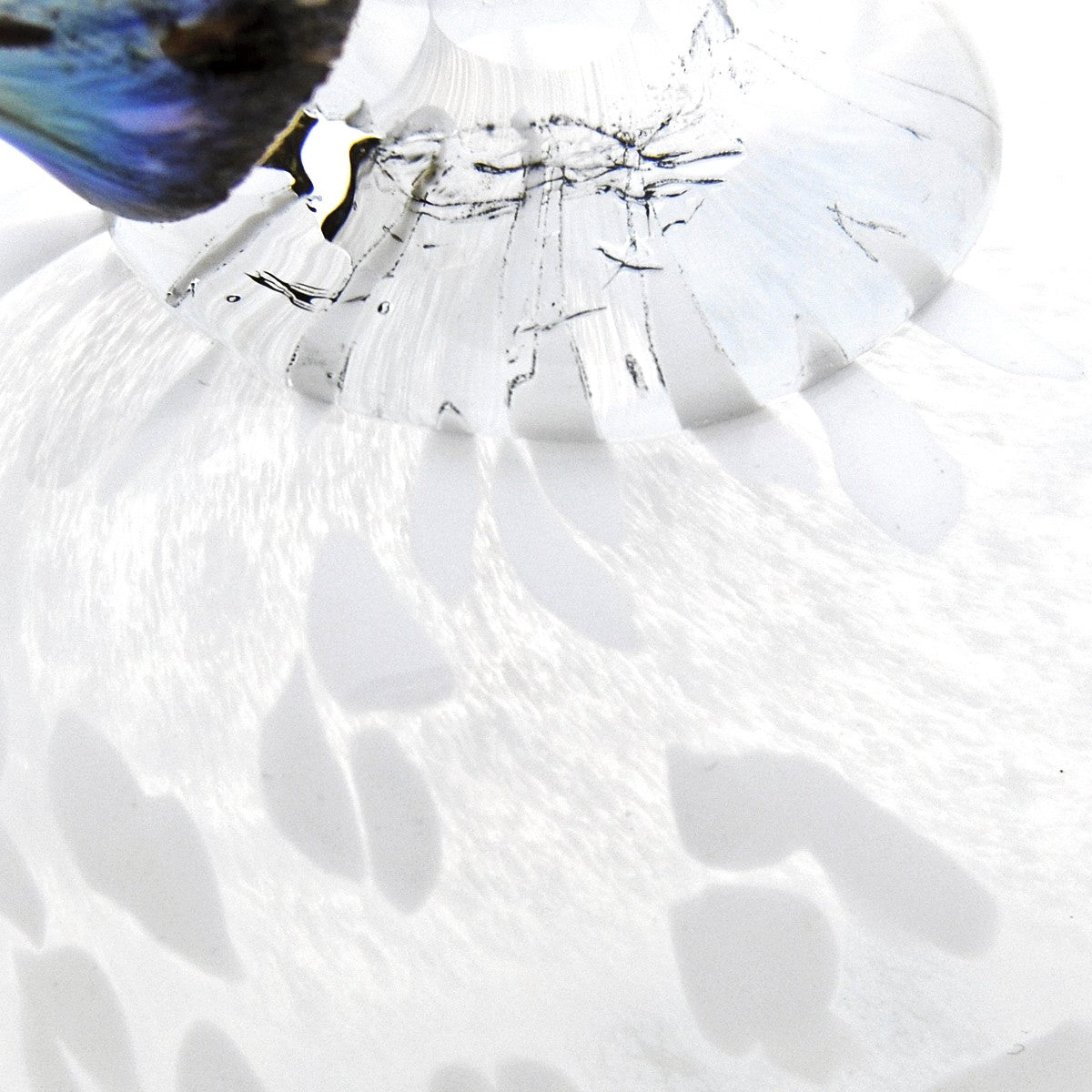 iittala Toikka Snow Finch