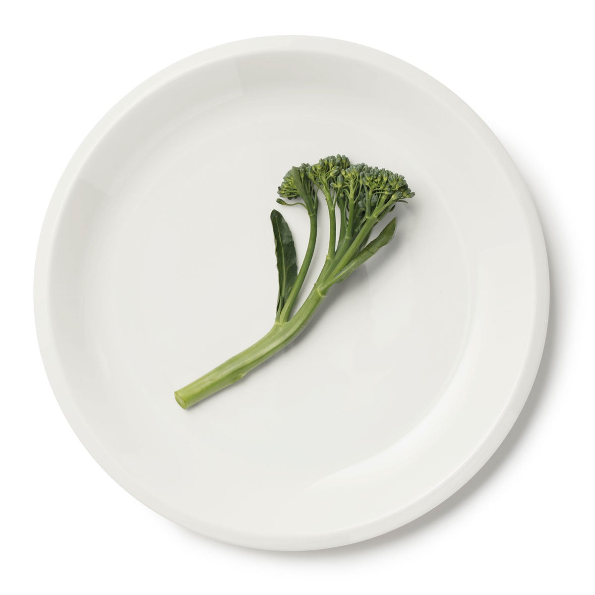 iittala Raami White Dinner Plate