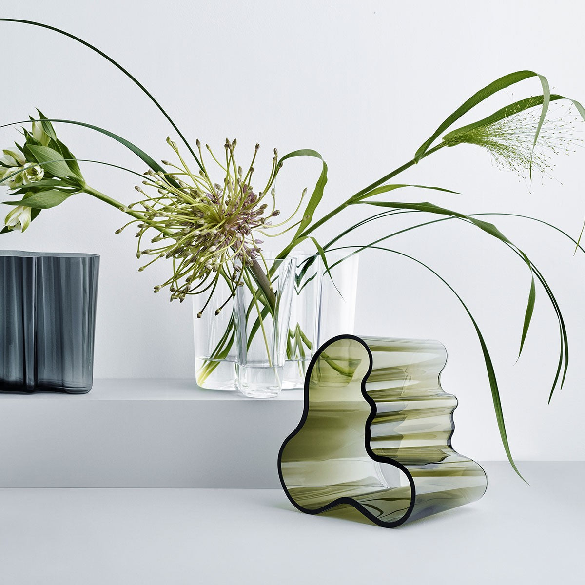 iittala Aalto Moss Vase - 6-1/4"