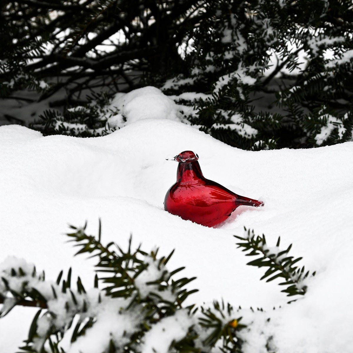 Iittala Toikka Little Cranberry Tern