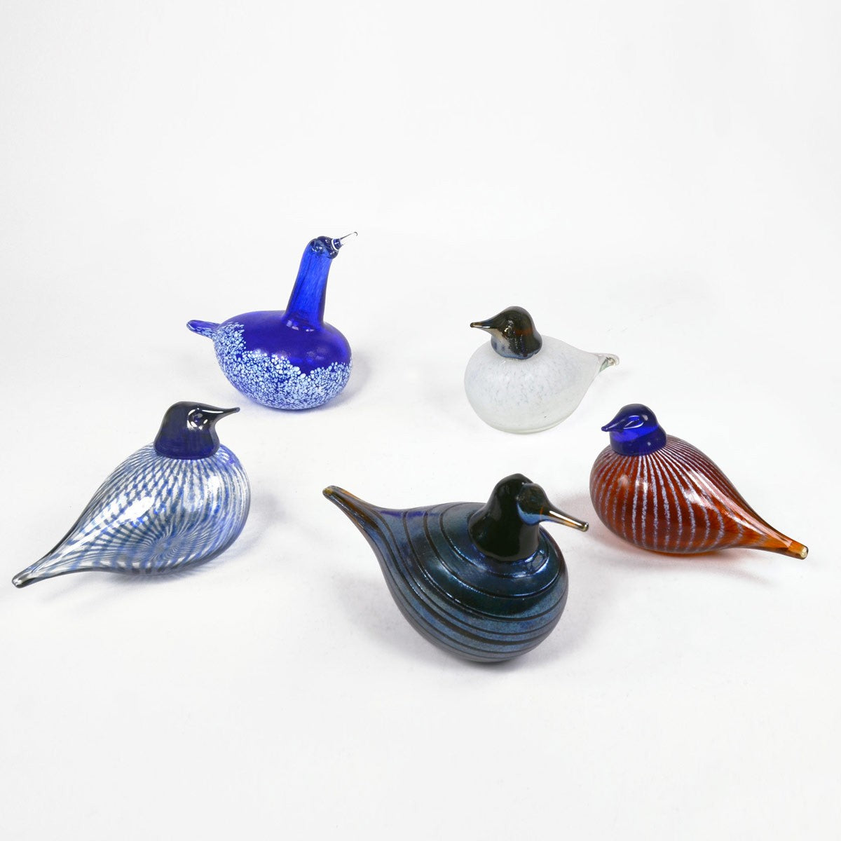 Bianco Blu Silver Tape Bird