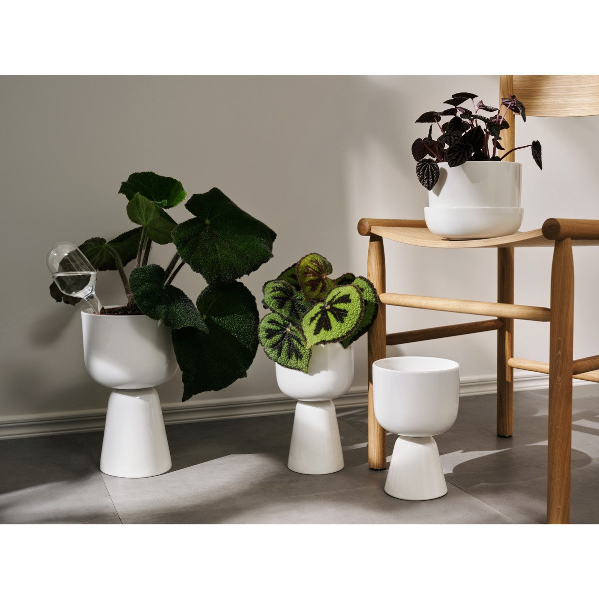 iittala Nappula White Plant Pot w/ Saucer