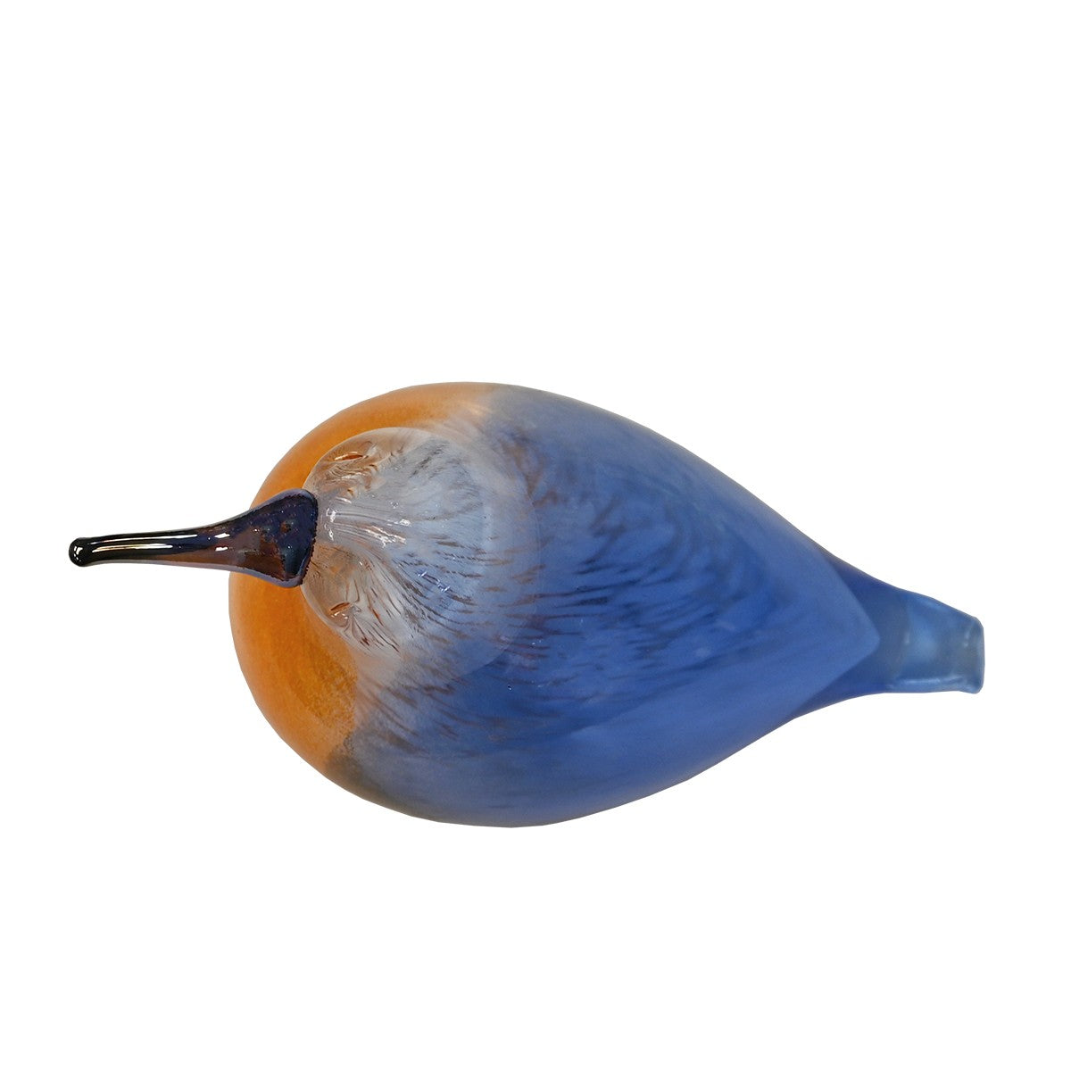 Bianco Blu Kingfisher