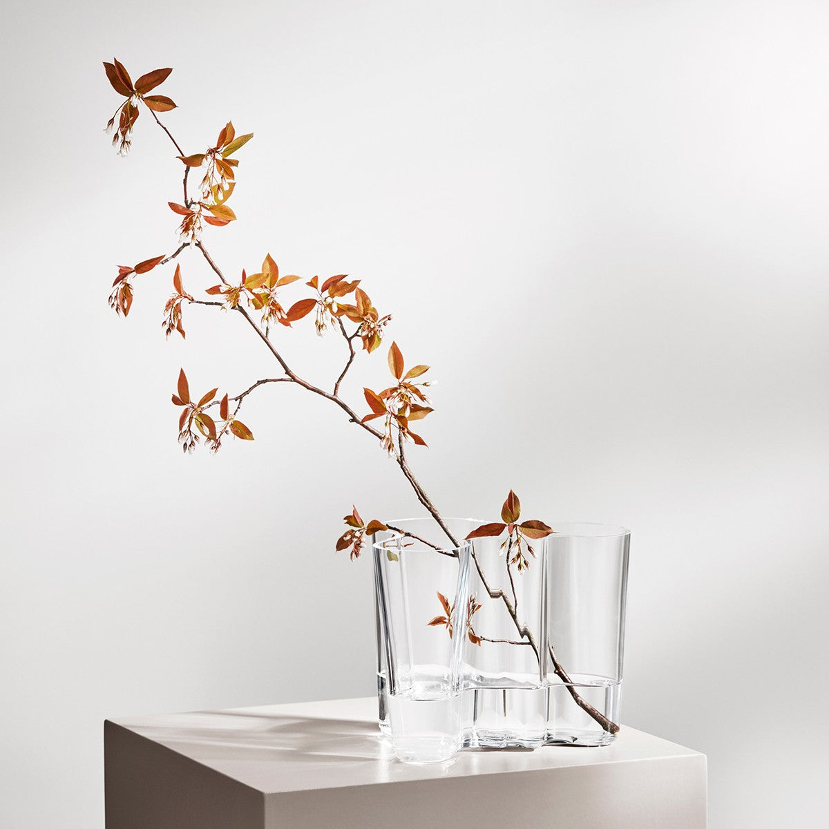 iittala Aalto Clear Vase - 6-1/4"