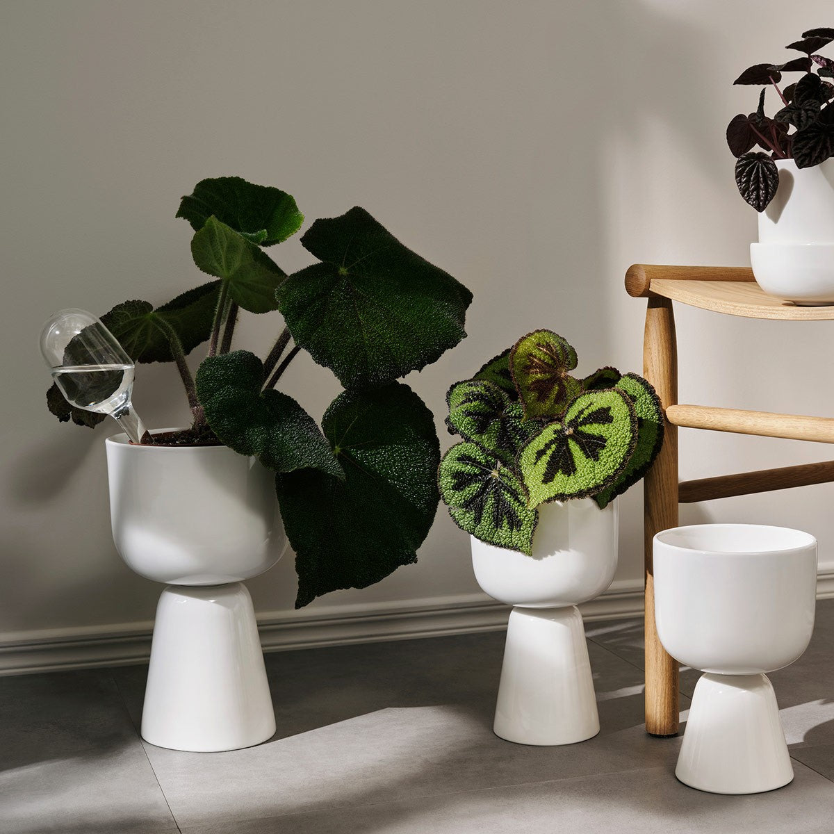 iittala Nappula White Large Plant Pot