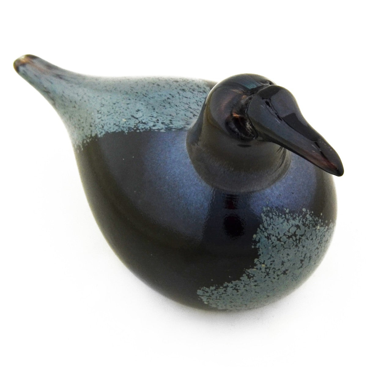 Bianco Blu Crow