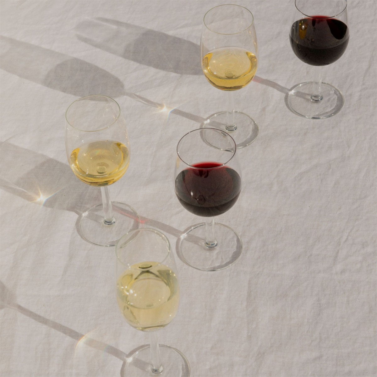 iittala Raami Sparkling Wine Glasses (Set of 2)