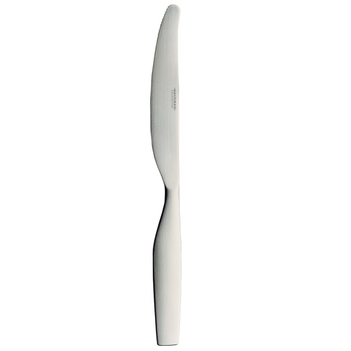 iittala Citterio 98 Dinner Knife