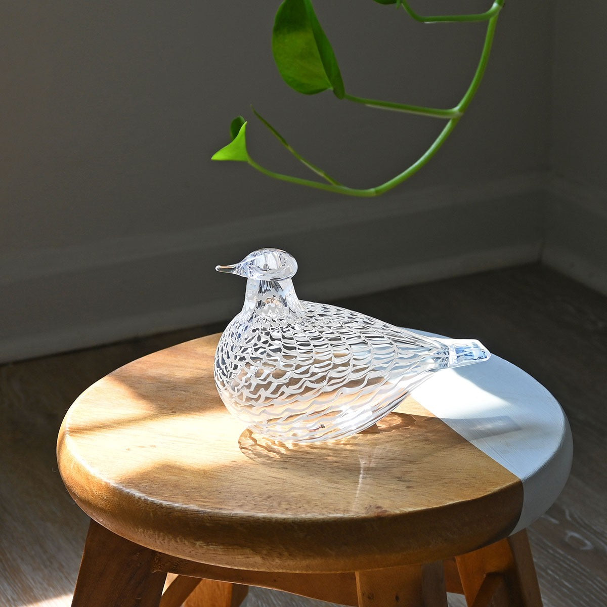 iittala Toikka Mediator Dove