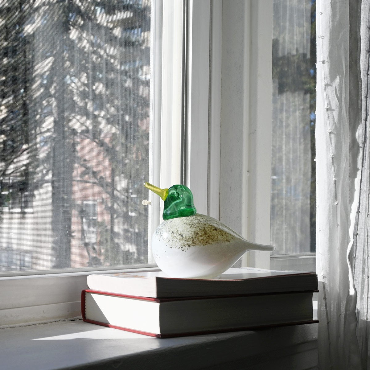 Bianco Blu Duck