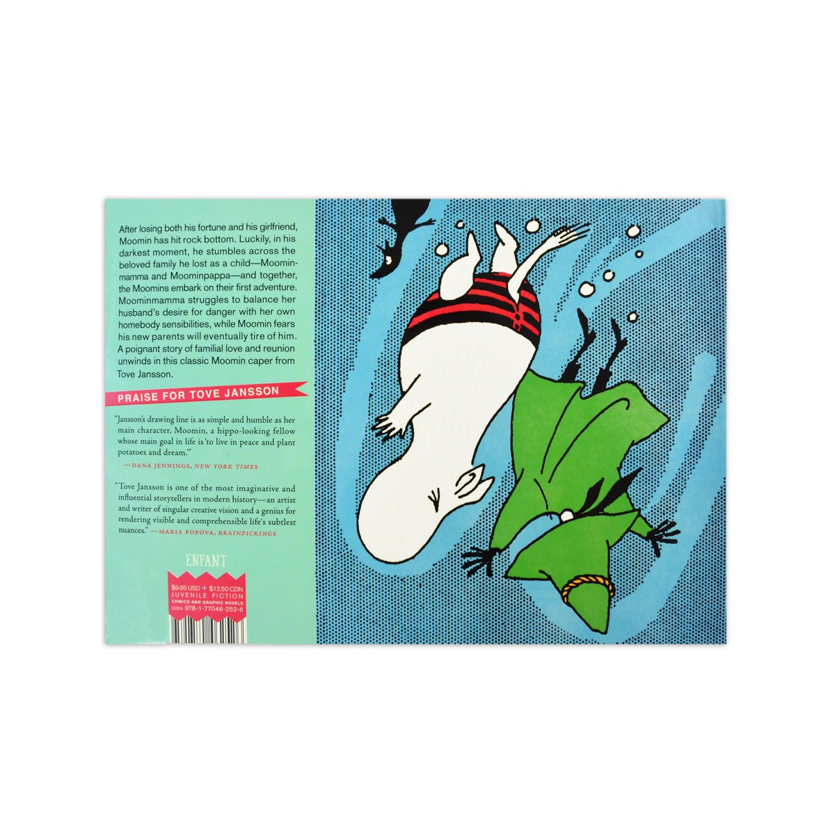 Moomin And Family Life Book