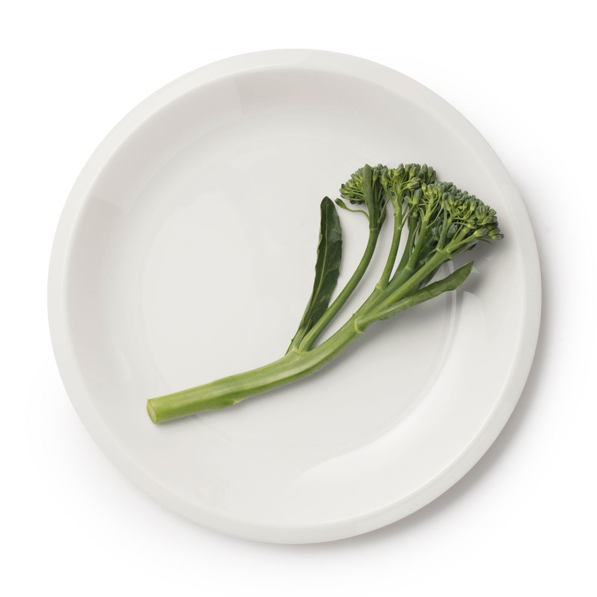 iittala Raami White Salad Plate