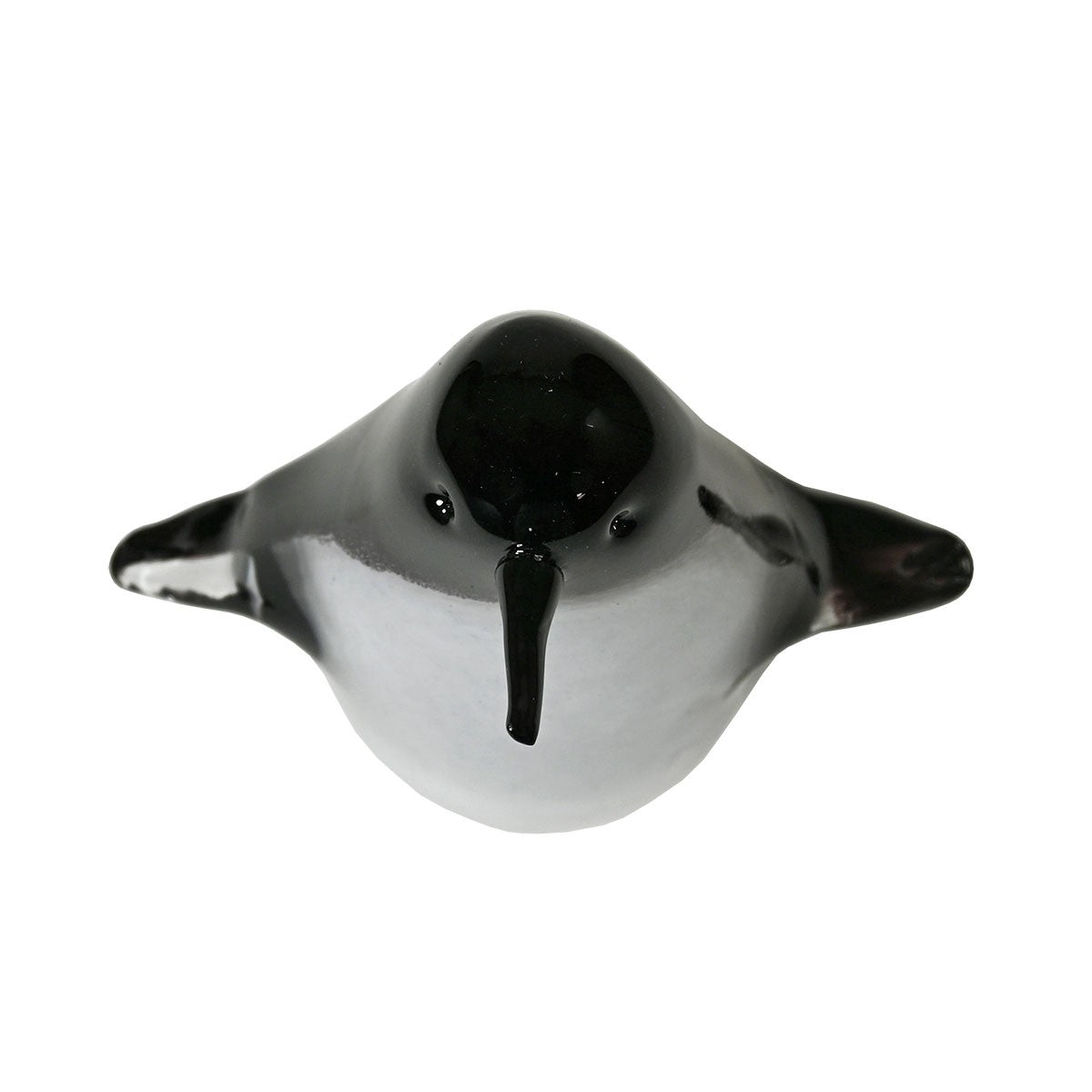 Bianco Blu Penguin