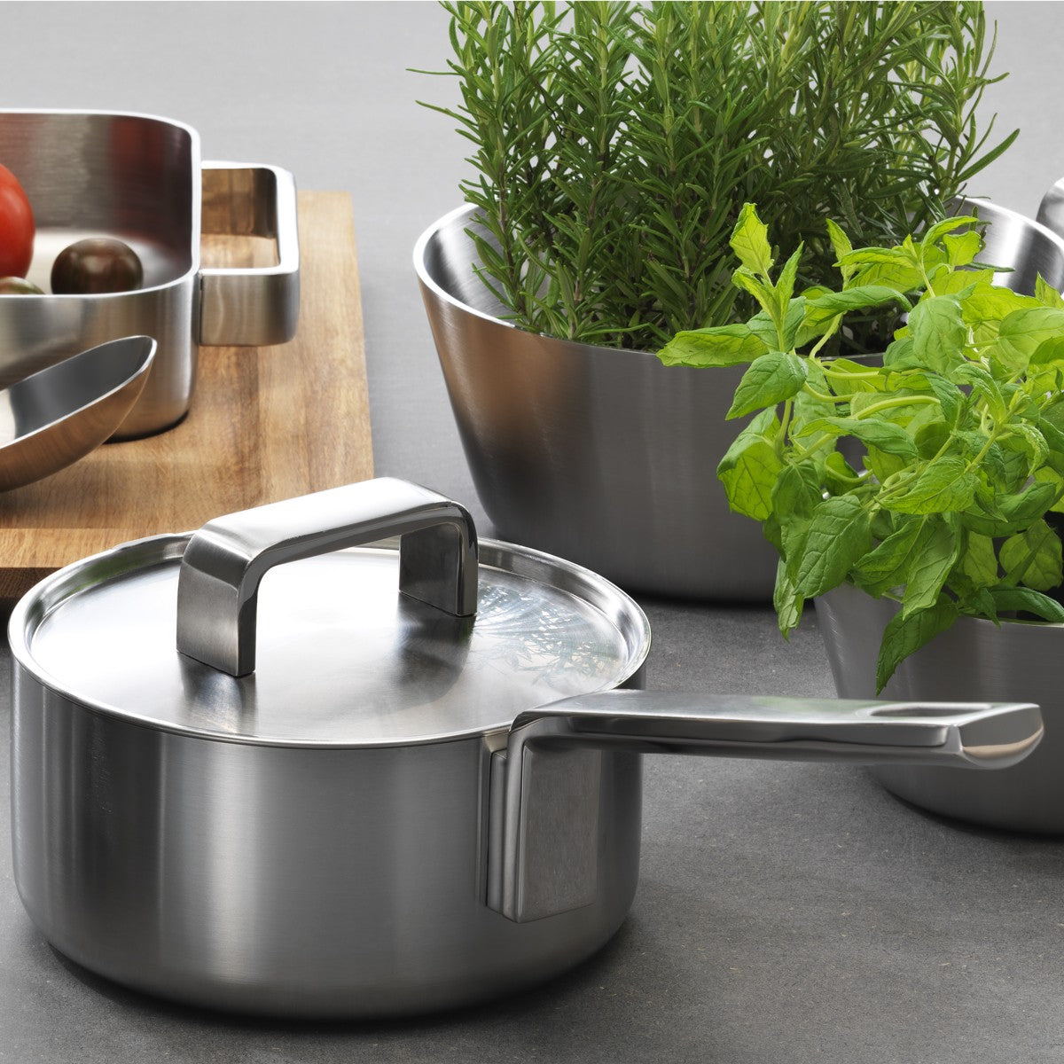 iittala Dahlström Tools Saucepan with Lid - 2L