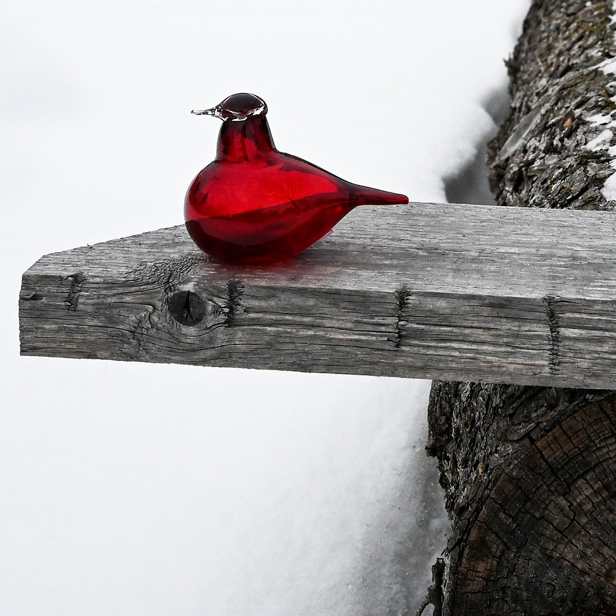 Iittala Toikka Little Cranberry Tern