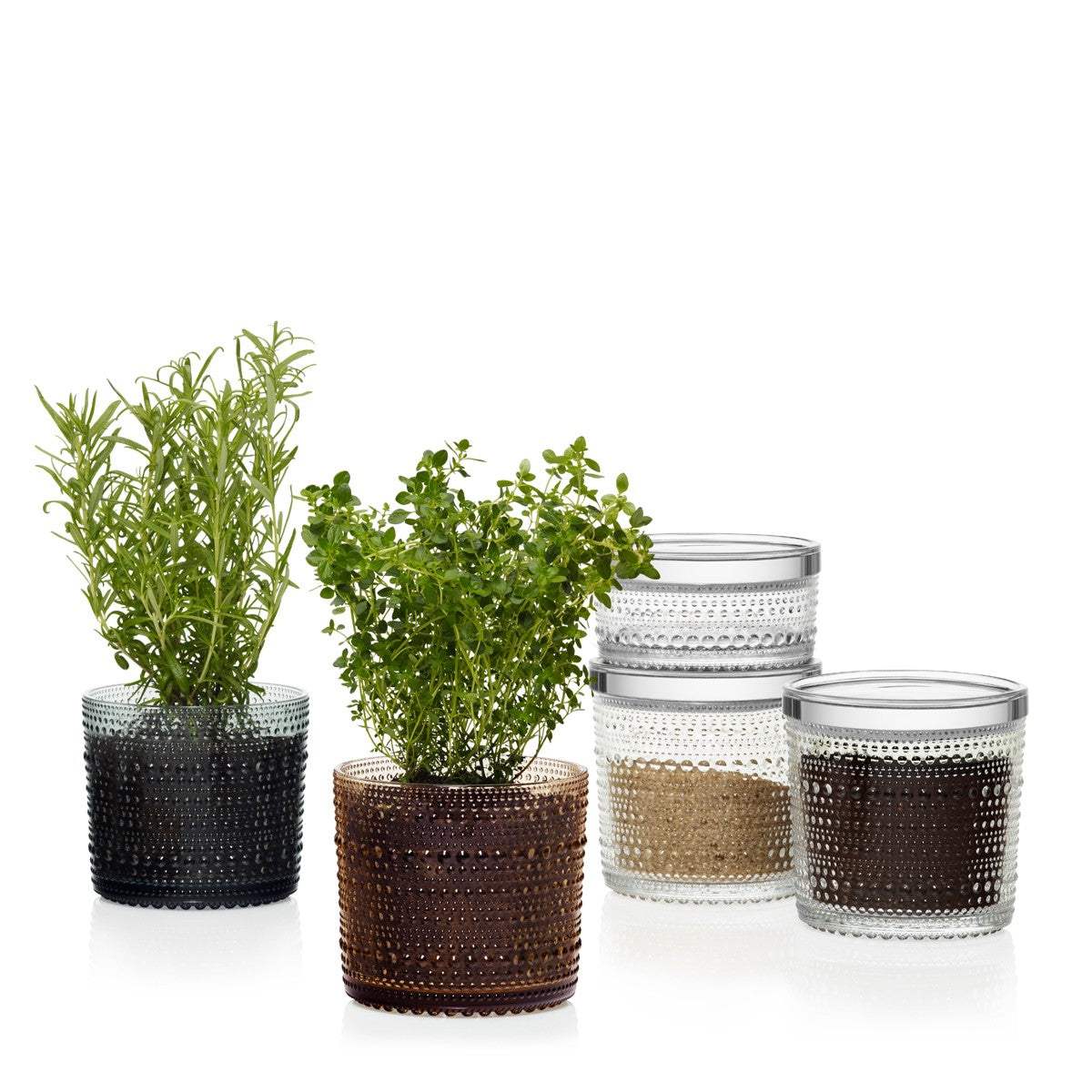 iittala Kastehelmi Clear Large Jar - Thumbnail 4