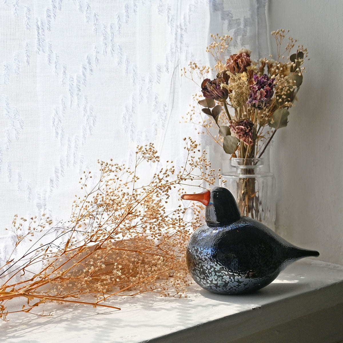 Bianco Blu Blackbird