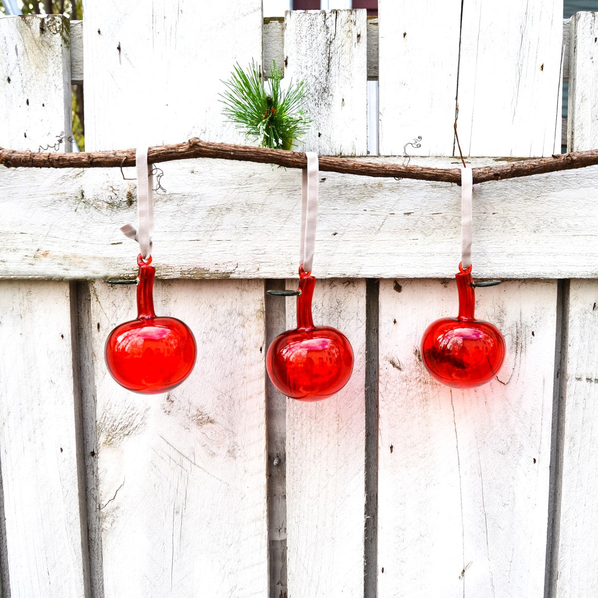 iittala Red Glass Apple Ornaments - Gift Set of 3