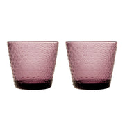 iittala Tundra Calluna 2pc Glass Tumbler - 10 oz