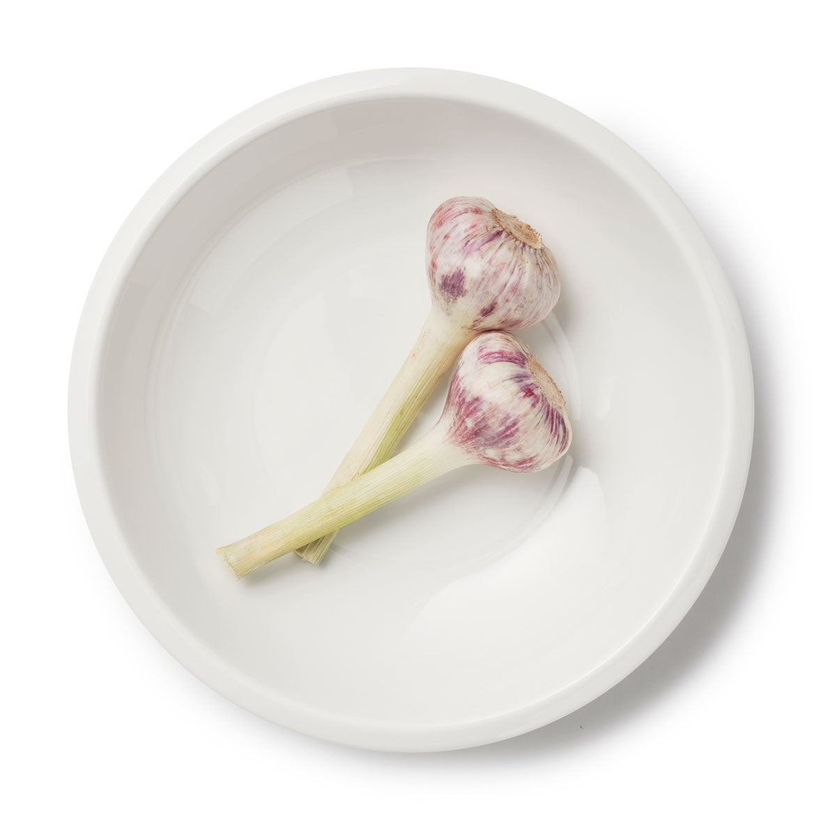 iittala Raami White Pasta Bowl