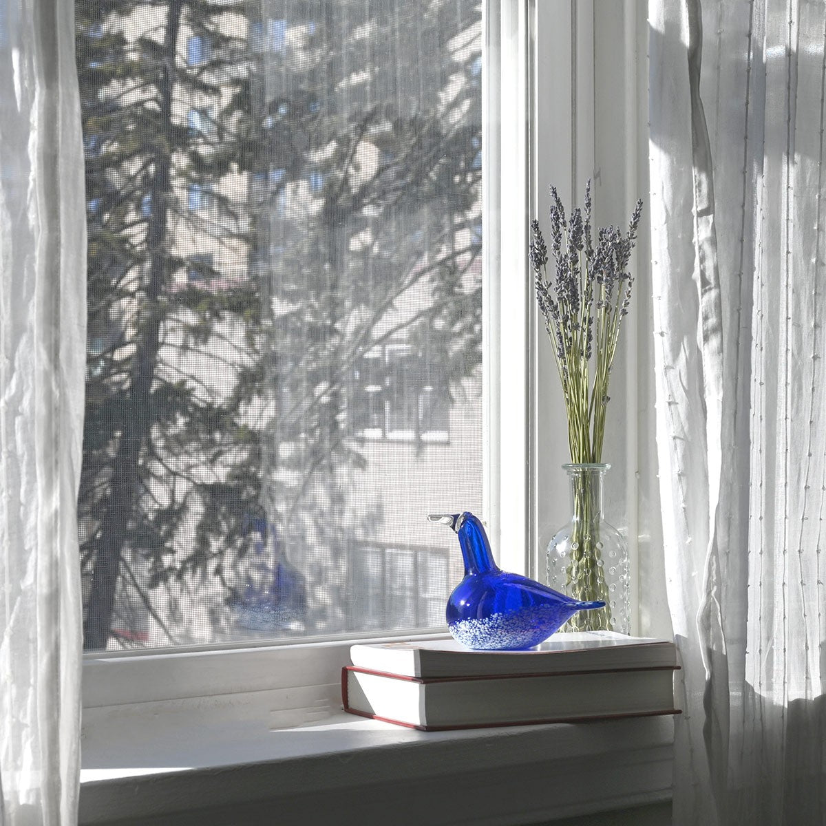 Bianco Blu Blue Swan