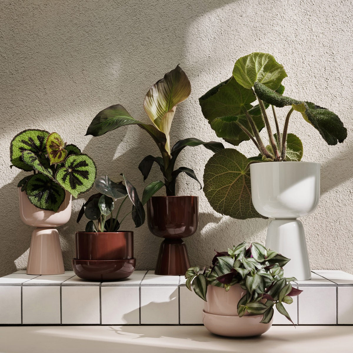 iittala Nappula White Large Plant Pot