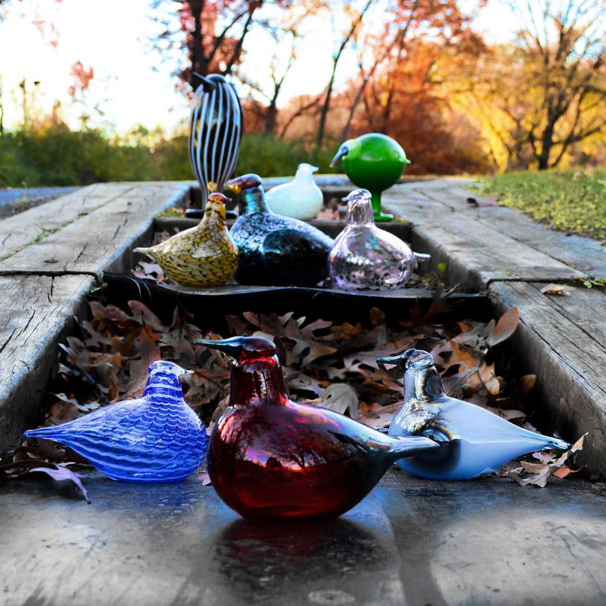 iittala Toikka Blue Bird